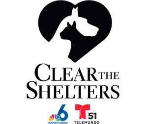 Adopt a shelter pet during 
