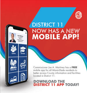 District 11 App