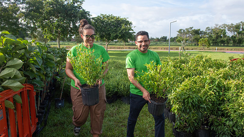 Two people picking up free trees at Adopt-a-Tree.