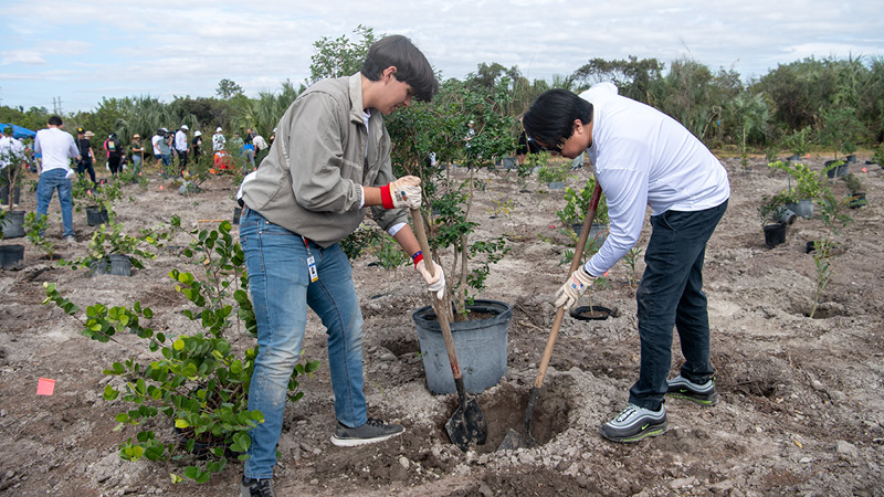 two people digging into soil using a shovel