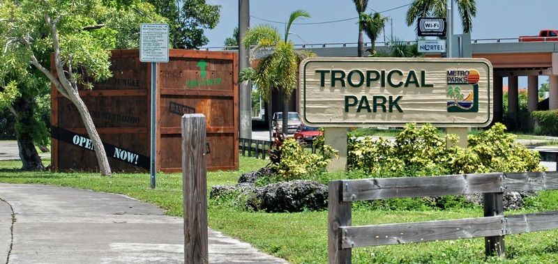 City of Miami cancels all pool parties until further notice due to  coronavirus