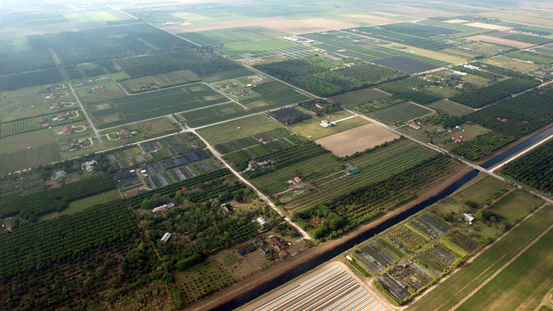 aerial photograph of green fields in the Redlands